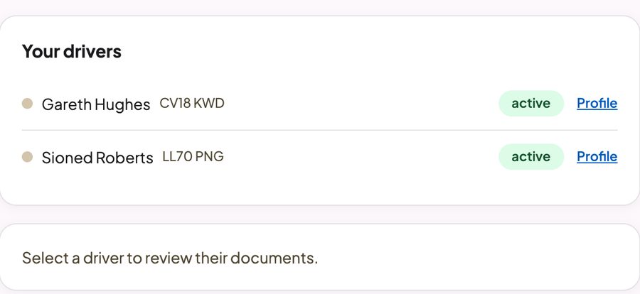 The Your drivers list in the portal: each driver with an online indicator, the number plate of the car they are assigned to, their status badge and a link to their profile